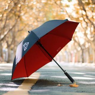 想起那把雨伞