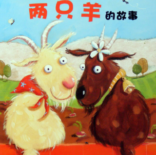 《两只羊🐑的故事》