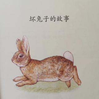 坏兔子的故事