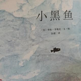 小黑鱼