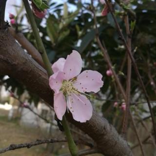 我在等你/余秋雨