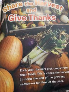 Share the Harvest and Give Thanks