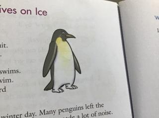 unit6 lesson7A Bird That Lives on Ice
