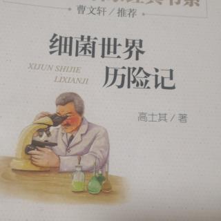 细菌的形态