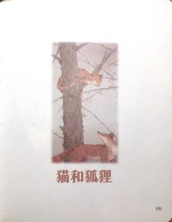 《猫和狐狸🦊》格林童话