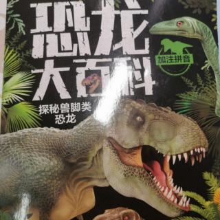 恐龙大百科-探秘兽脚类恐龙（四）