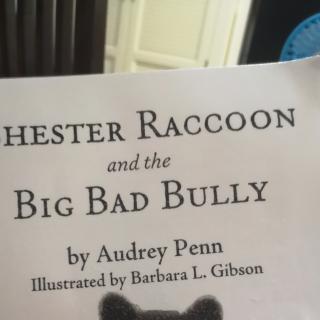 Chester Raccoon and the Big Bad Bully by Darcy