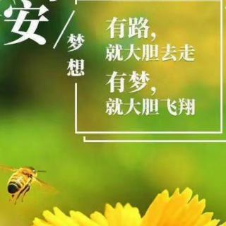 朗读第127天《蜘蛛结网》