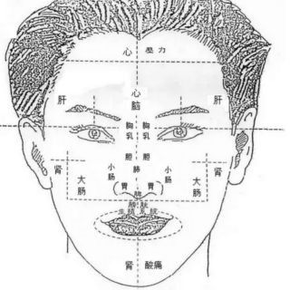 颜面望诊：心脑循环系统