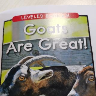 RAZh goats are great