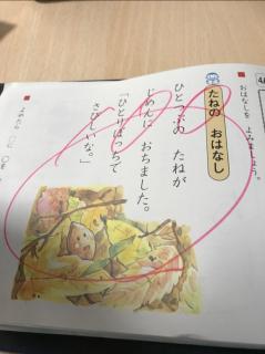 たねのお話