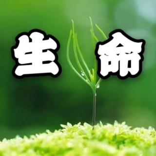 致离我们远去的青春