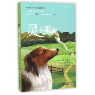 灵犬莱西（1）多少钱都不卖