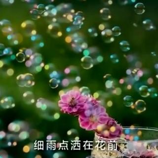 《你是人间的四月天》