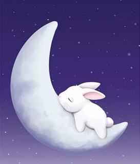 《月亮🌜和兔子🐰》