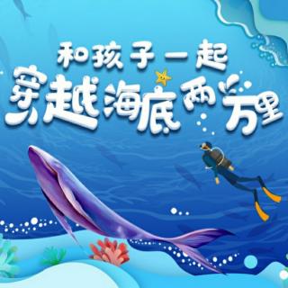 《海底两万里》  儒勒·凡尔纳（5）