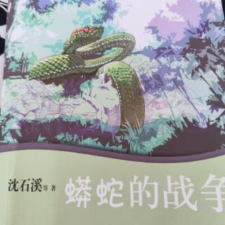 十二生肖六蟒蛇的战争～1～24页
