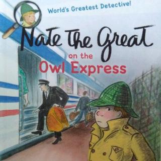 Nate the Great and the Owl Express