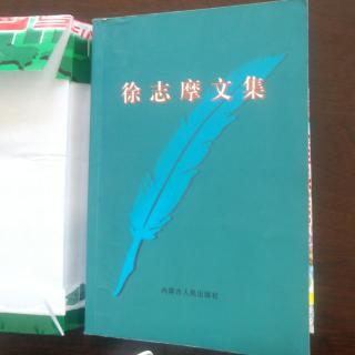 《徐志摩文集》这是一个懦怯的世界