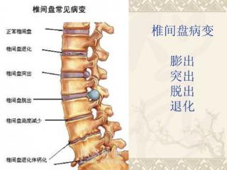 20200528谦德之效