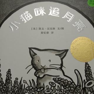 小猫咪追月亮🌙