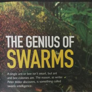 the genius of swarms