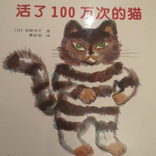 活了100万次的猫