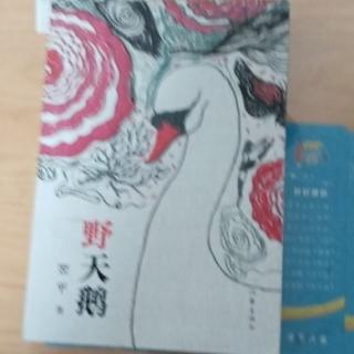 《野天鹅》第二十章《父女俩的对话》