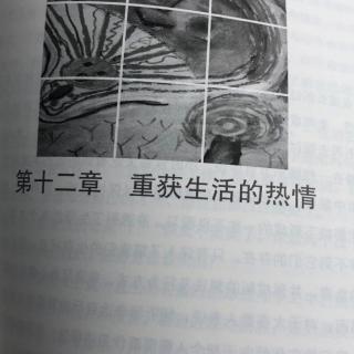 重获生命的热情