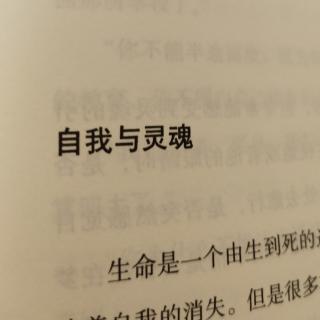 自我与灵魂。