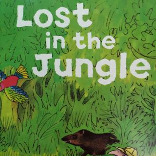 Martin-Lost in the Jungle