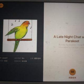 A Late Night Chat With A Parakeet