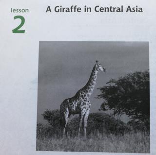 雪儿读U7L2-A Giraffe in Central Asia 177词《中学生百科1》