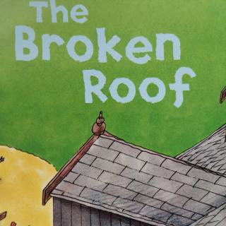Martin-The Broken Roof