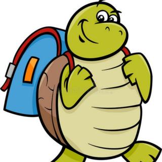 《乌龟去学校》
