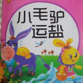 市直幼大一班刘锡垚    《小毛驴运盐》