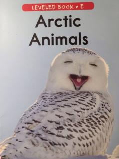 Reading A to Z Level E - Arctic Animals