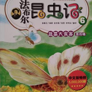 昆虫记_蔬菜大食客2