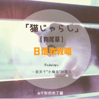 日语歌教唱｜Radwimps新歌「猫じゃらし（狗尾草）」暖到你心里。