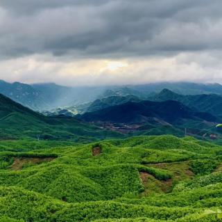 童话大王《师子和牧羊人》