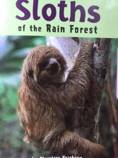 G2 Science LR Book87 - Sloths of the rainforest.