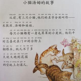 小猫汤姆的故事