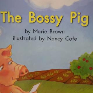 the bossy pig