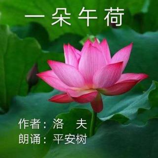 《一朵午荷》洛   夫 	