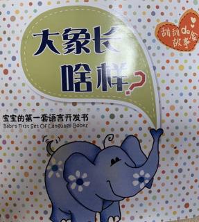 刘蕴鑫——大象🐘长啥样