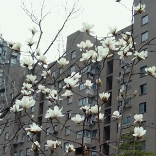 封神演义_1祸起女娲宫