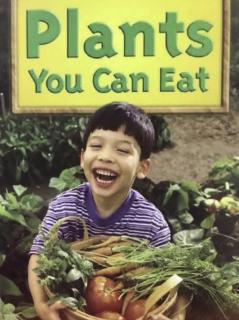 G2 Science LR Book81 - Plants You Can Eat