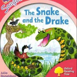 The Snake and the Drake