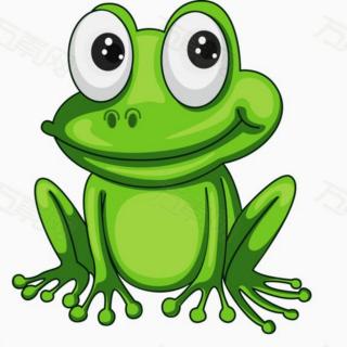 大嗓门青蛙🐸和小嗓门青蛙🐸