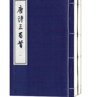 唐诗三百首——月夜忆舍弟、春望